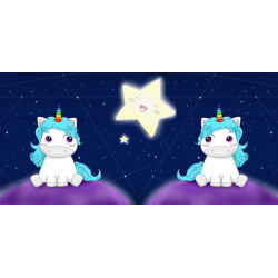 UNICORN SPACE